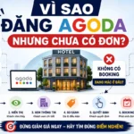 Vì Sao Đăng Agoda Nhưng Chưa Có Đơn? 7 Nguyên Nhân